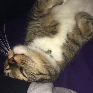 Meet your Posher, Whitney